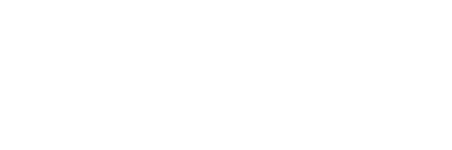 light logo